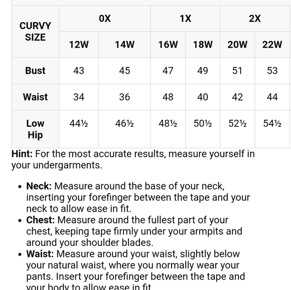 Plus Size Long Sleeve Scallop Neck 2Fer Top - Picture 4 of 4